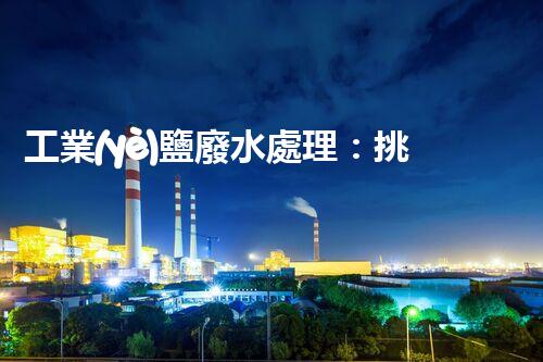 工業(yè)鹽廢水處理：挑戰(zhàn)與創(chuàng)新，誰能拯救這一生態(tài)危機(jī)？